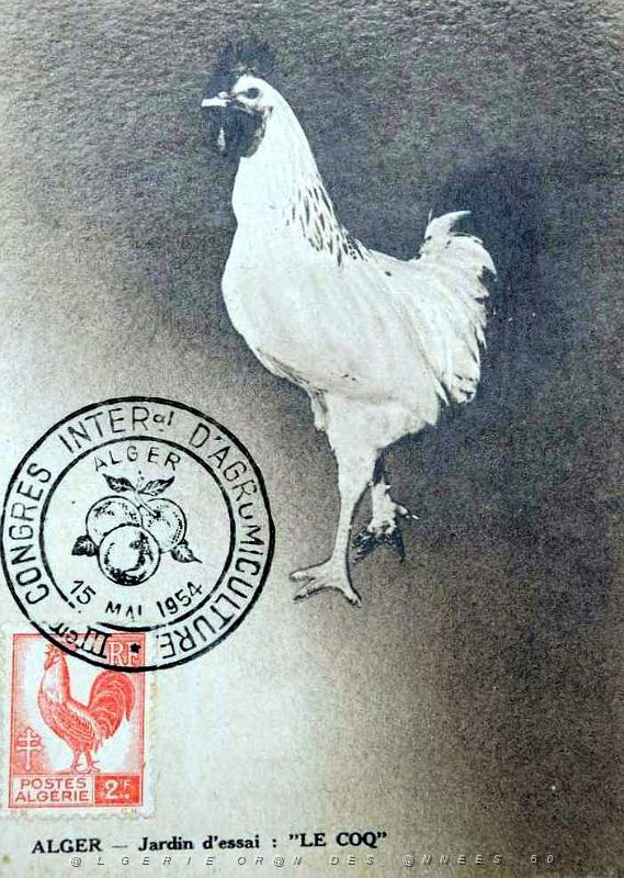 TIMBRES 1 ER JOUR (193).jpg